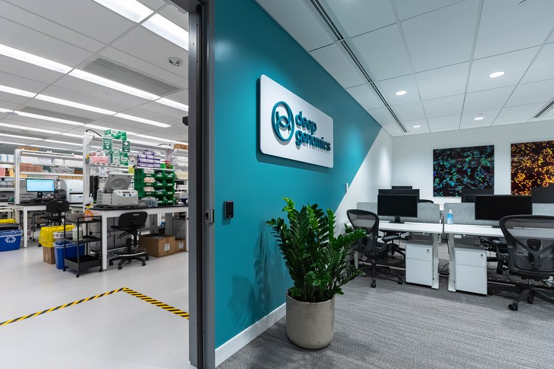 lab peek